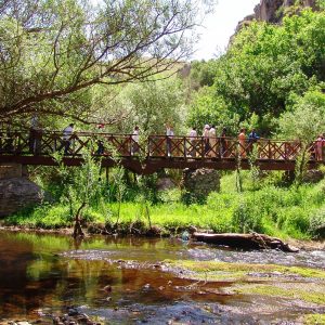 1-Day | Cappadocia-Green Tour from Istanbul by ✈